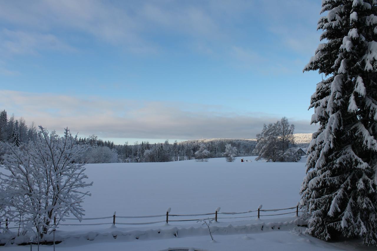 Apartment Steinsgård-Maura Exteriör bild